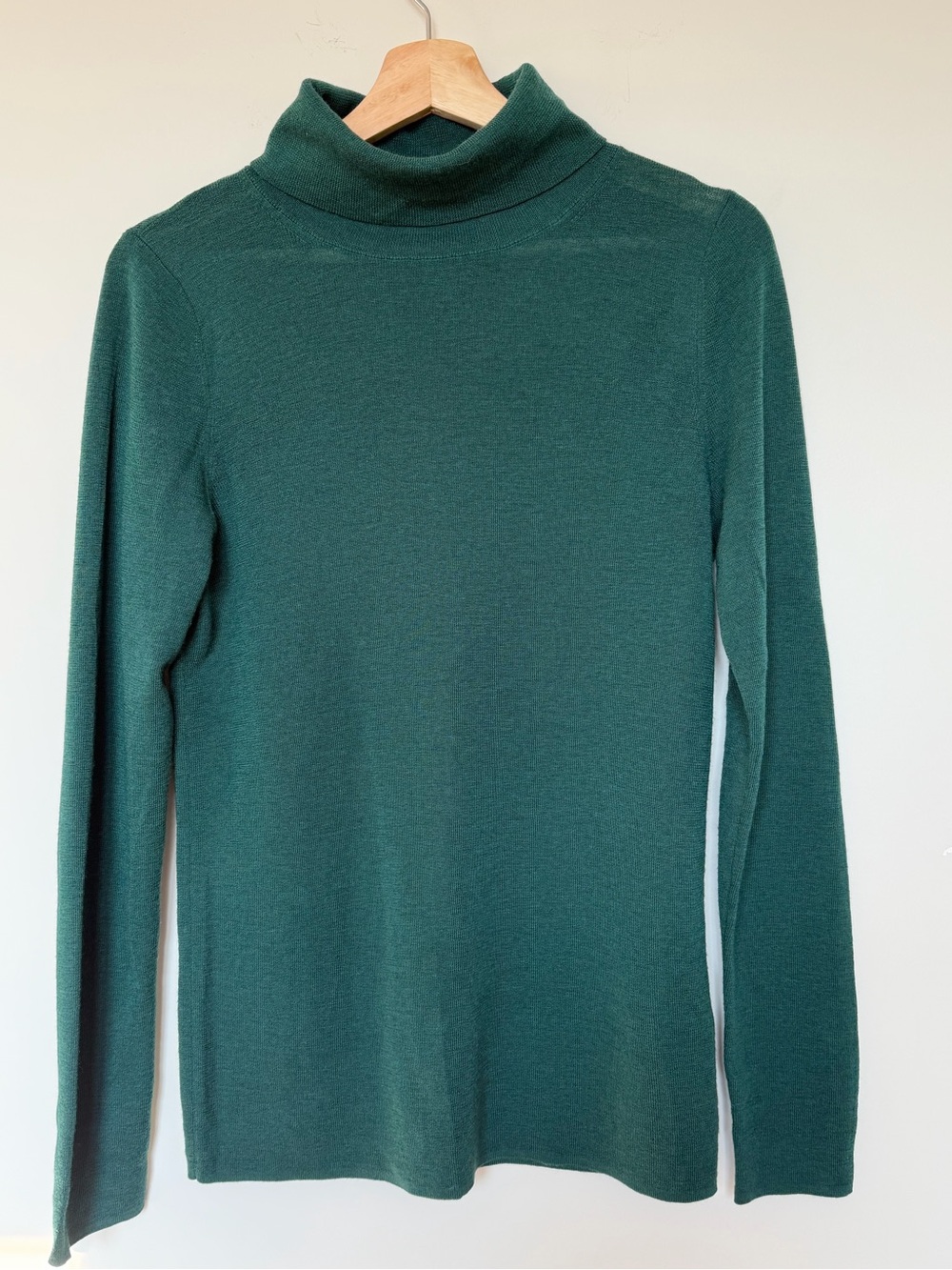 100% Wool & Other Stories- Women’s Green Turtleneck Sweater size L